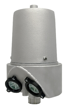 Flagpole Light