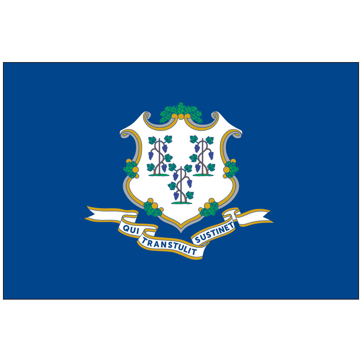 Nylon Connecticut State Flag