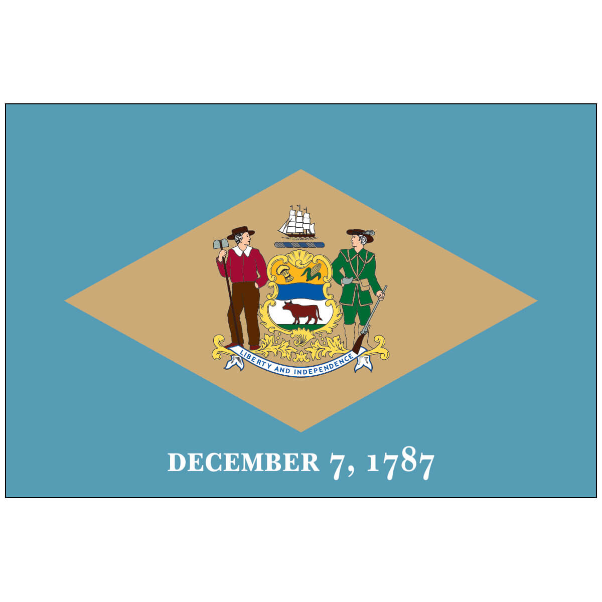 Nylon Delaware State Flag