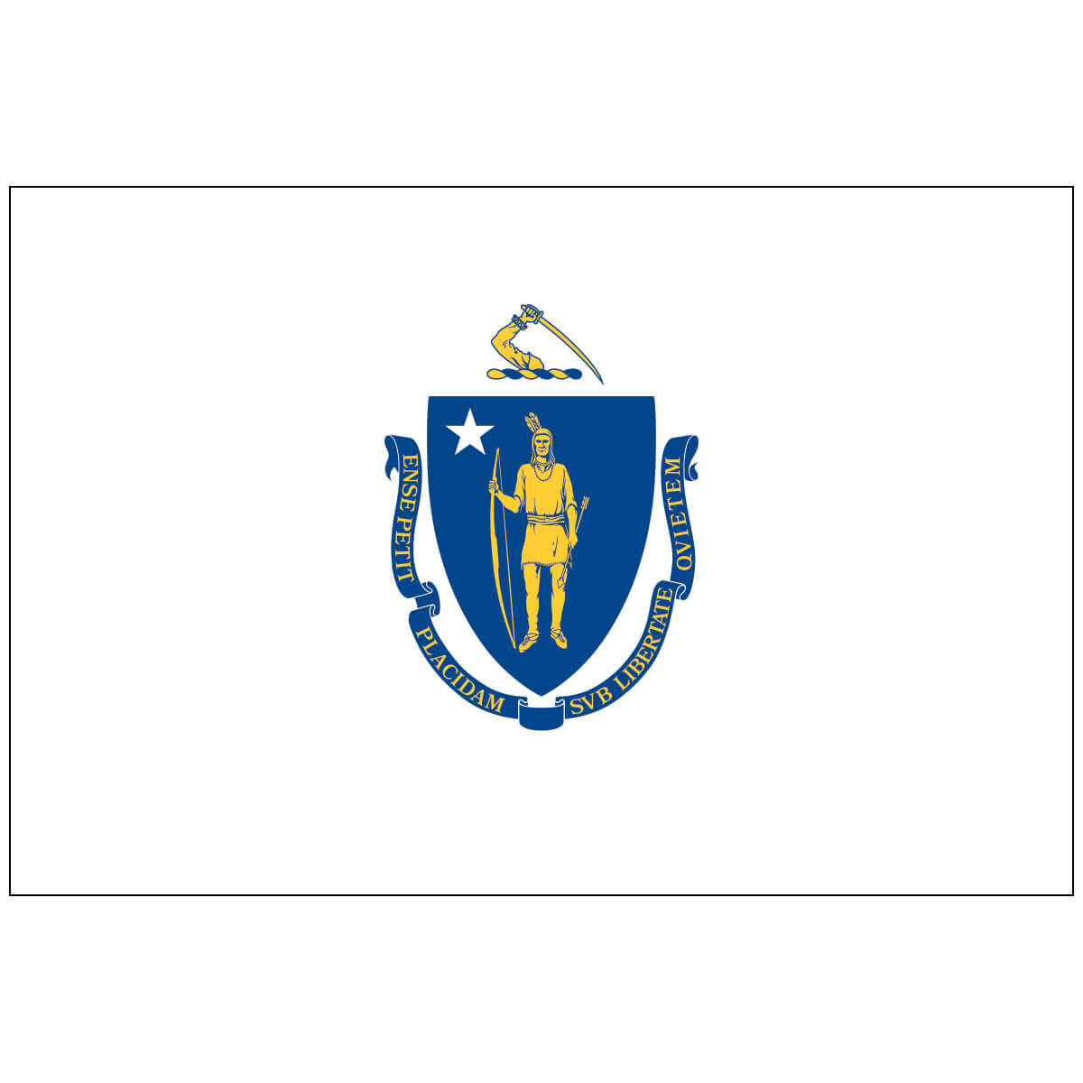 Nylon Massachusetts State Flag
