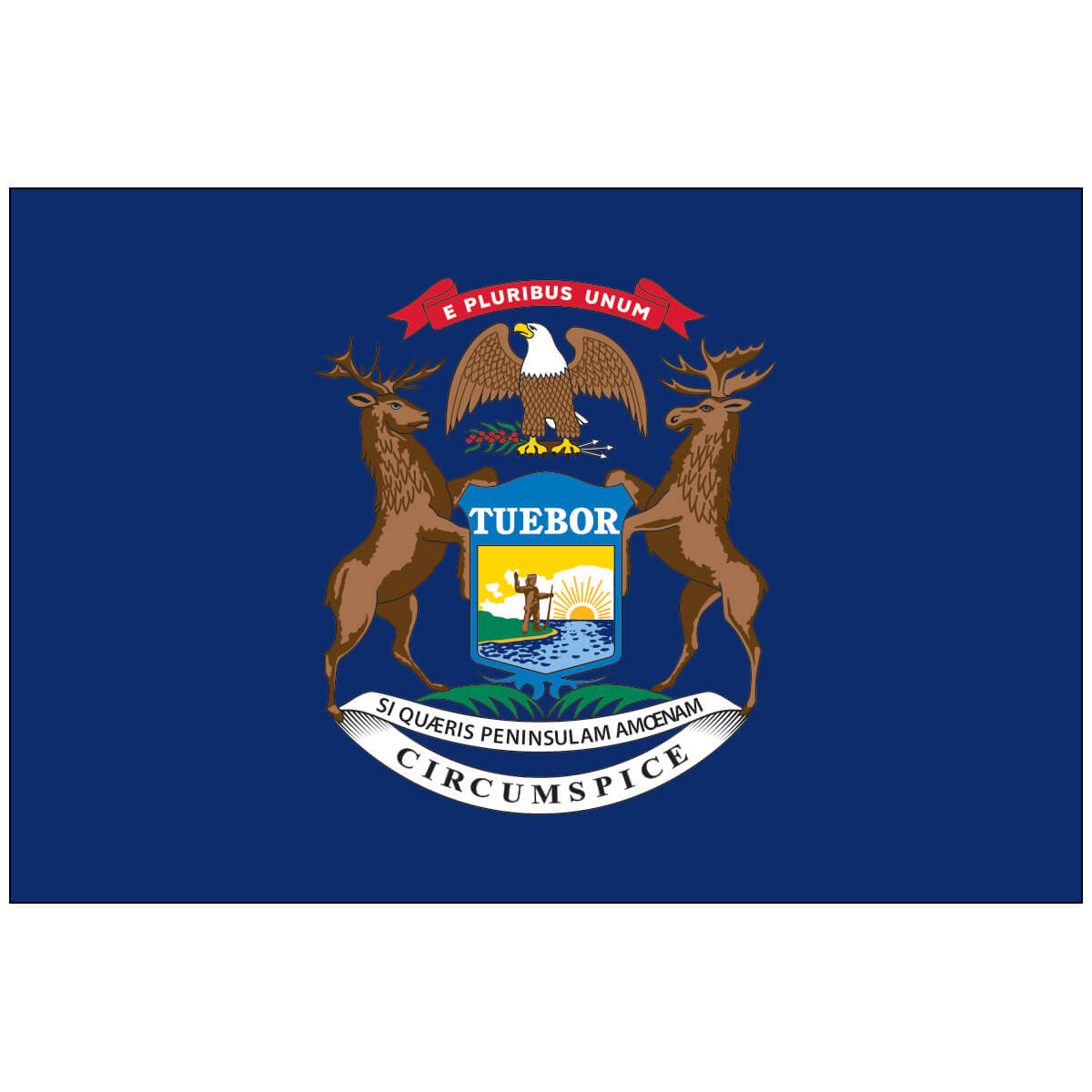 Nylon Michigan State Flag