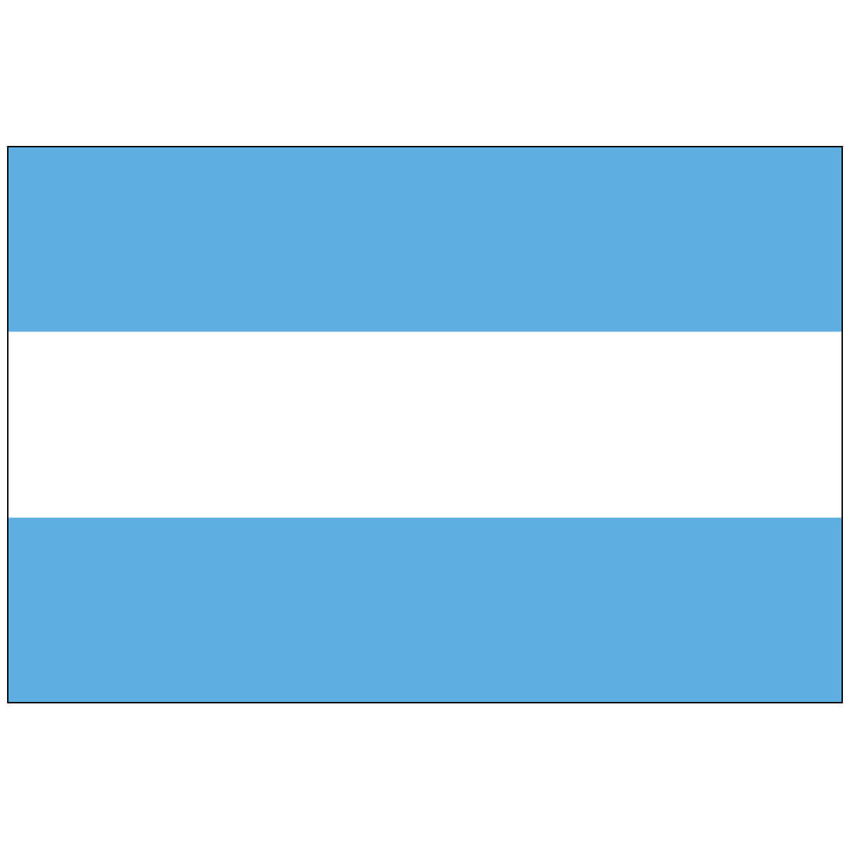 Nylon Argentina Flag