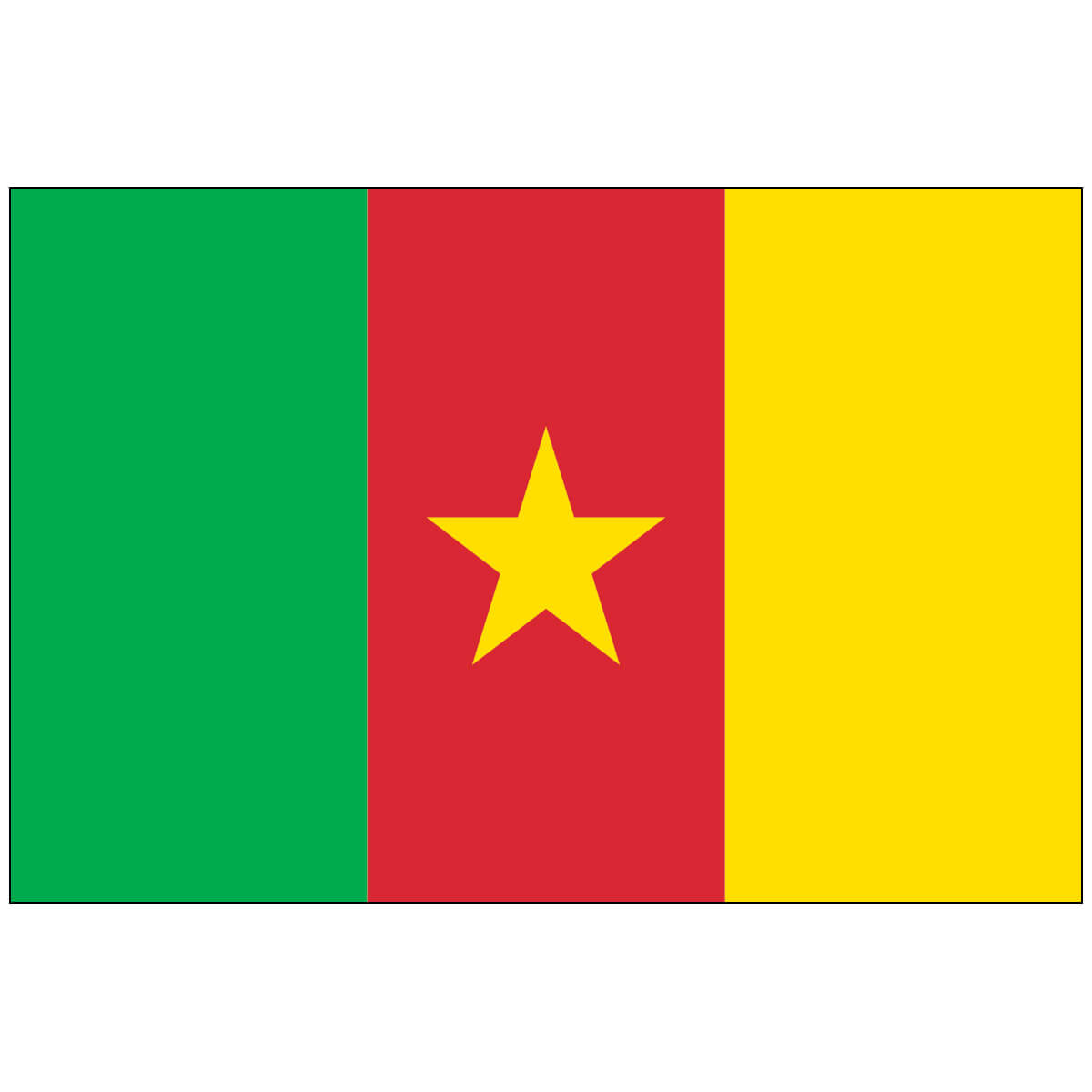 Nylon Cameroon Flag