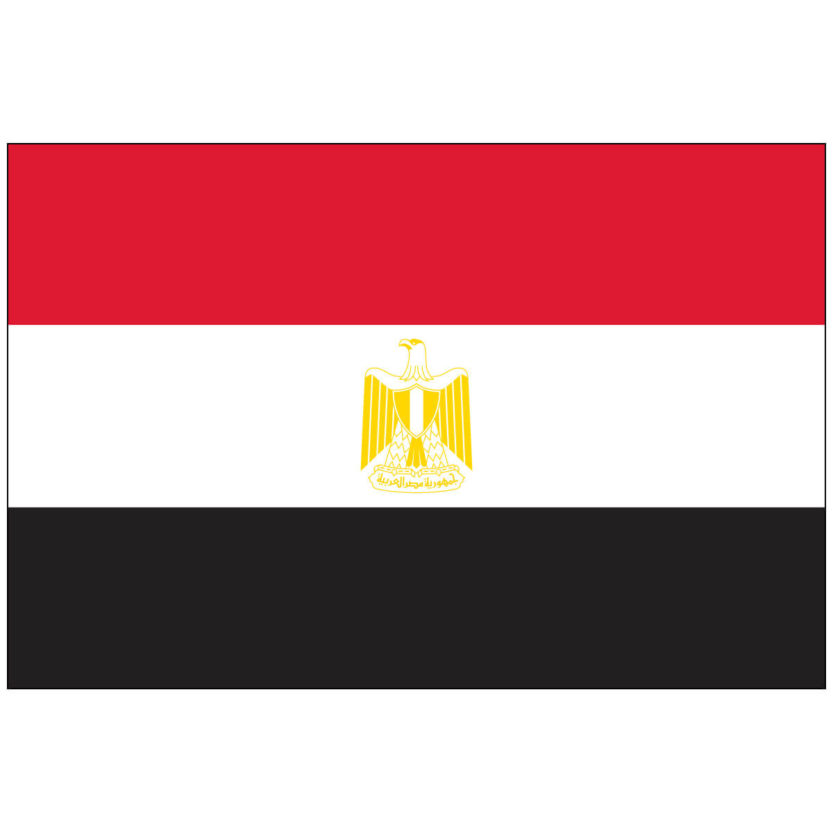 Nylon Egypt Flag
