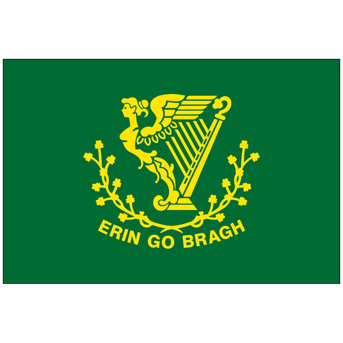 Nylon Erin Go Bragh Flag