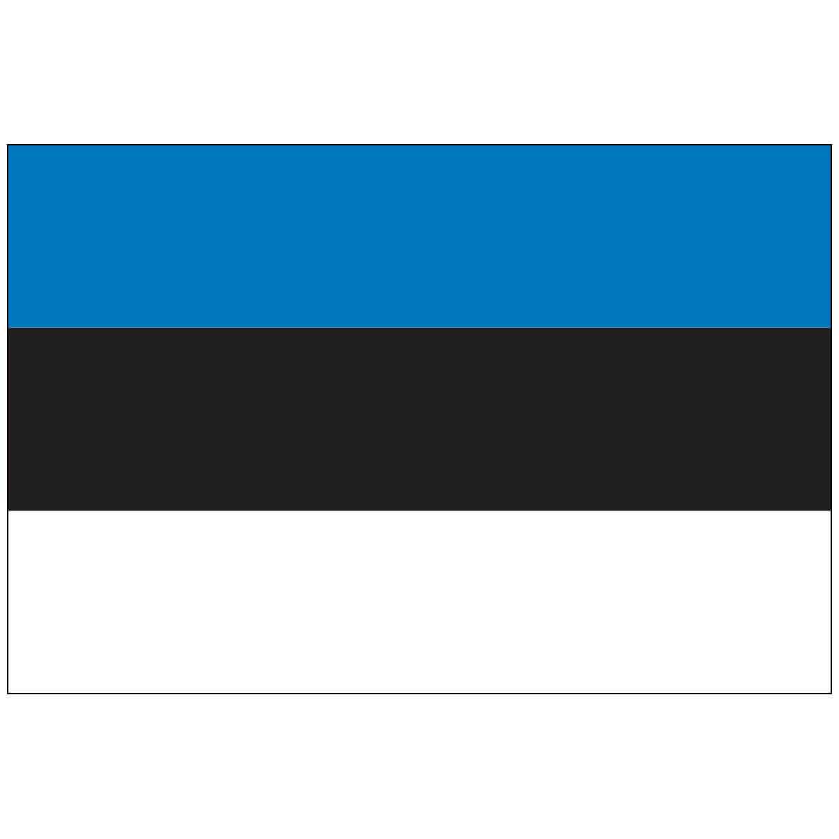 Nylon Estonia Flag