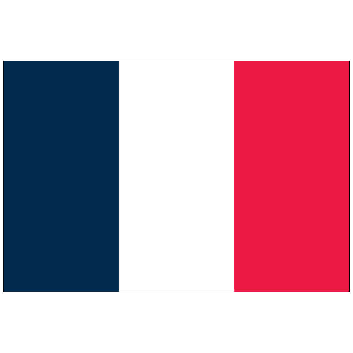 Nylon France Flag