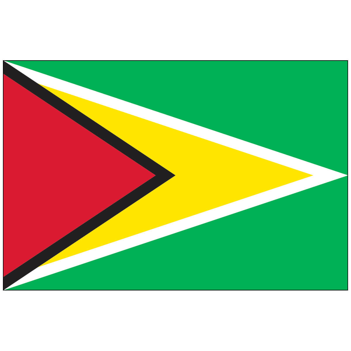 Nylon Guyana Flag