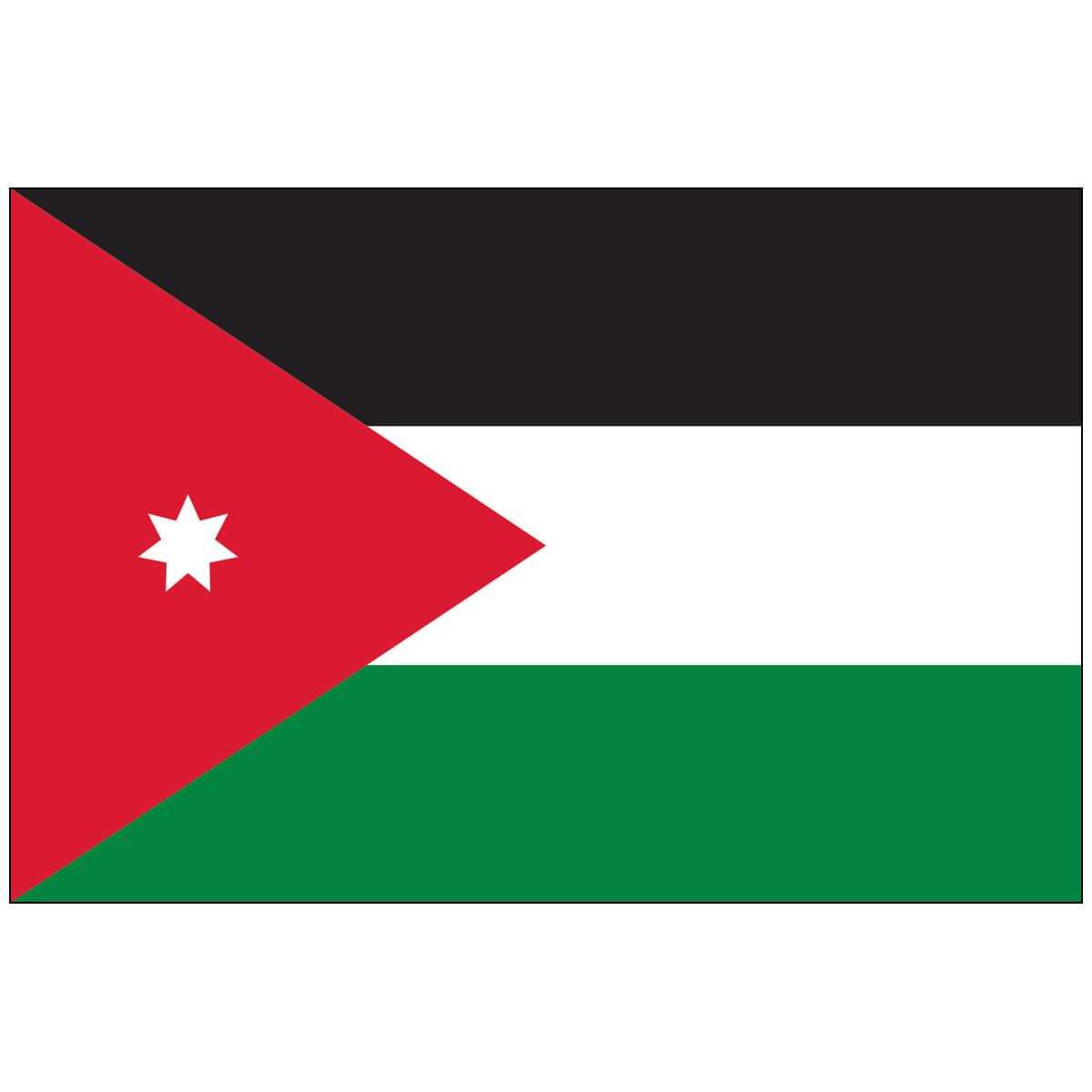 Nylon Jordan Flag