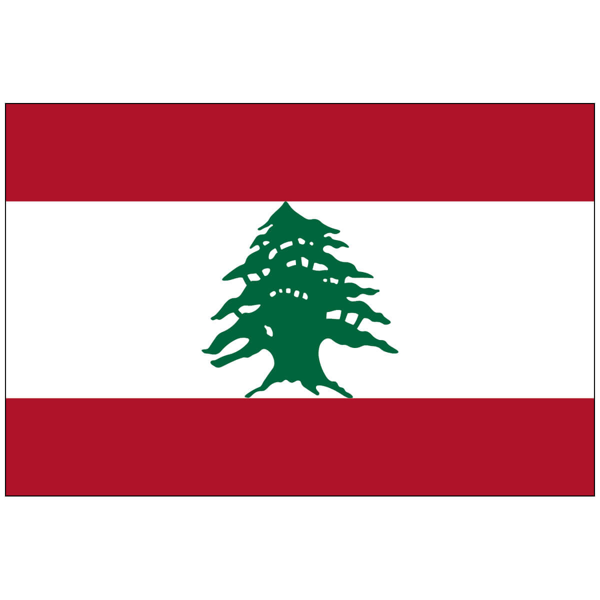 Nylon Lebanon Flag