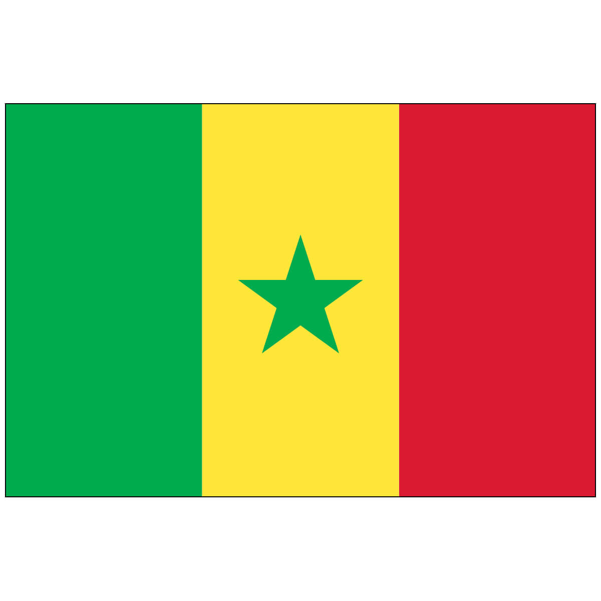 Nylon Senegal Flag