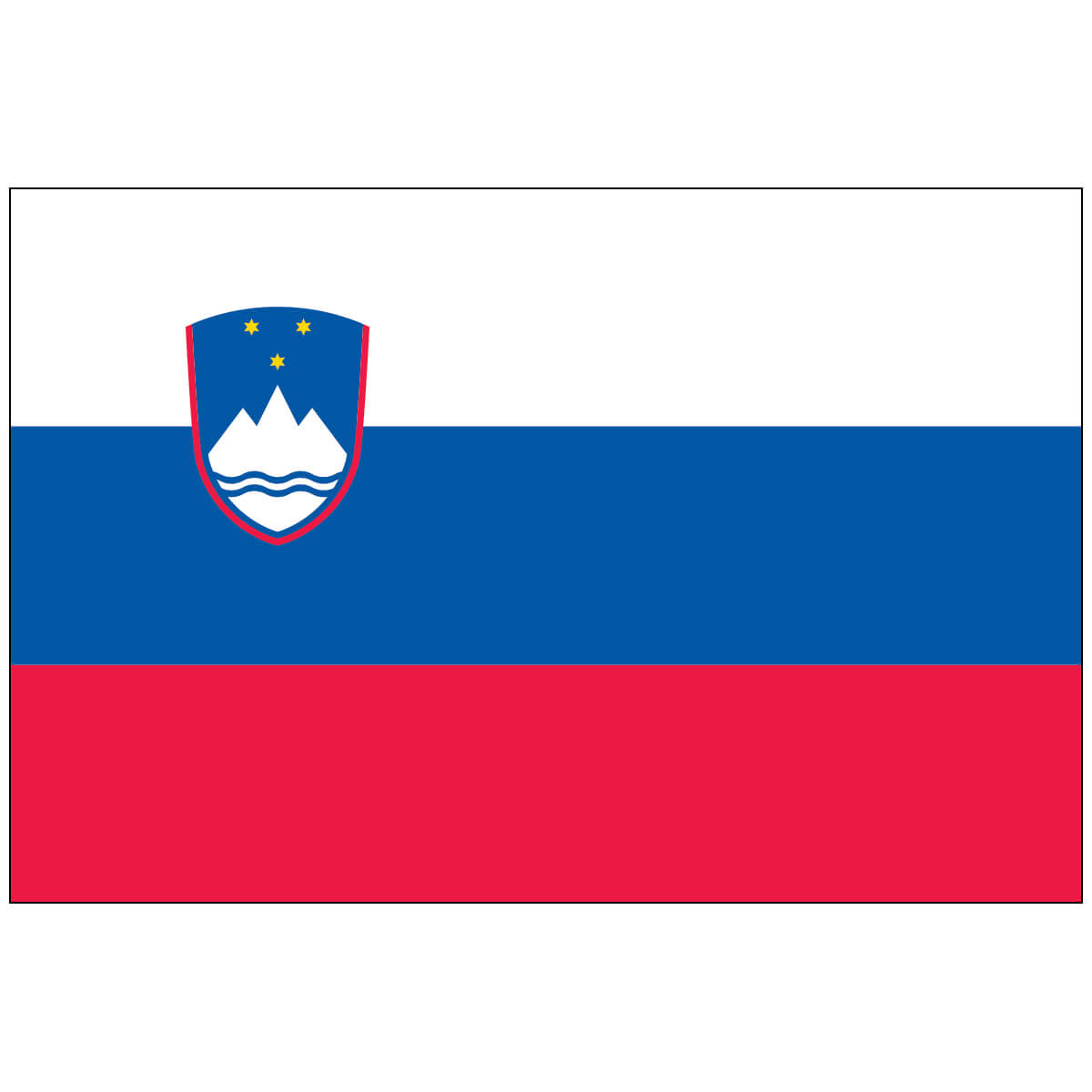 Nylon Slovenia Flag