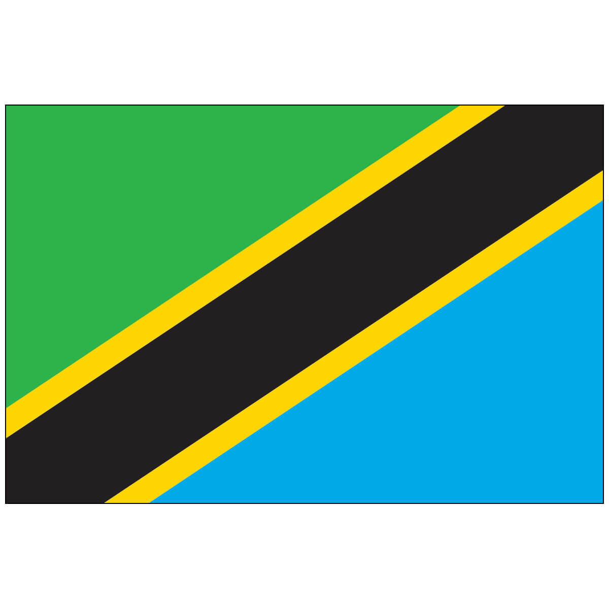 Nylon Tanzania Flag