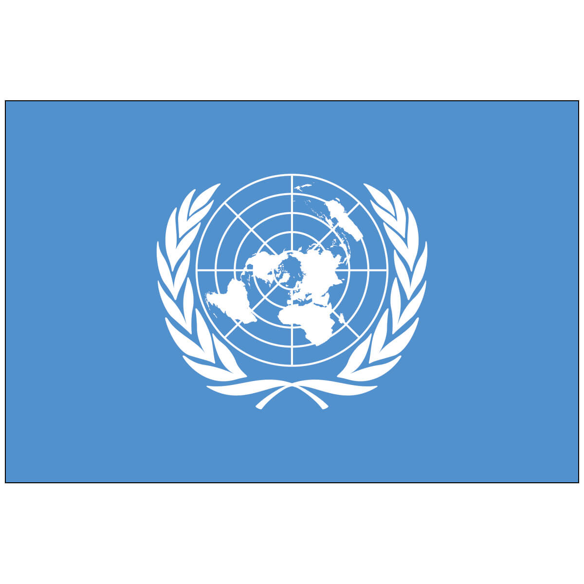 Nylon United Nations Flag