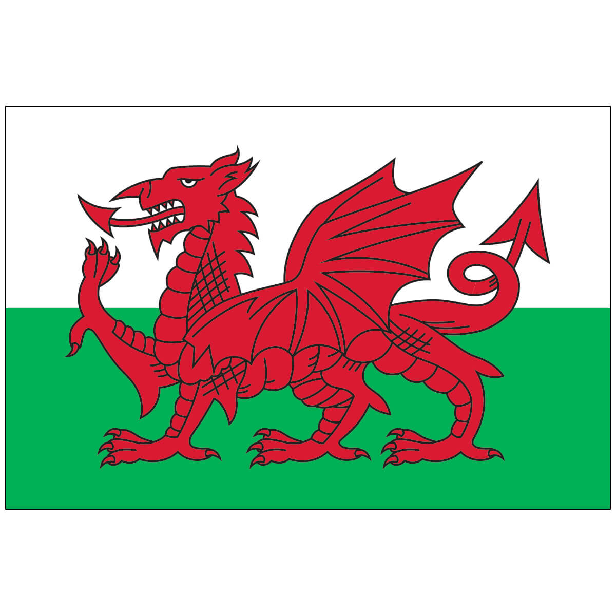 Nylon Wales Flag