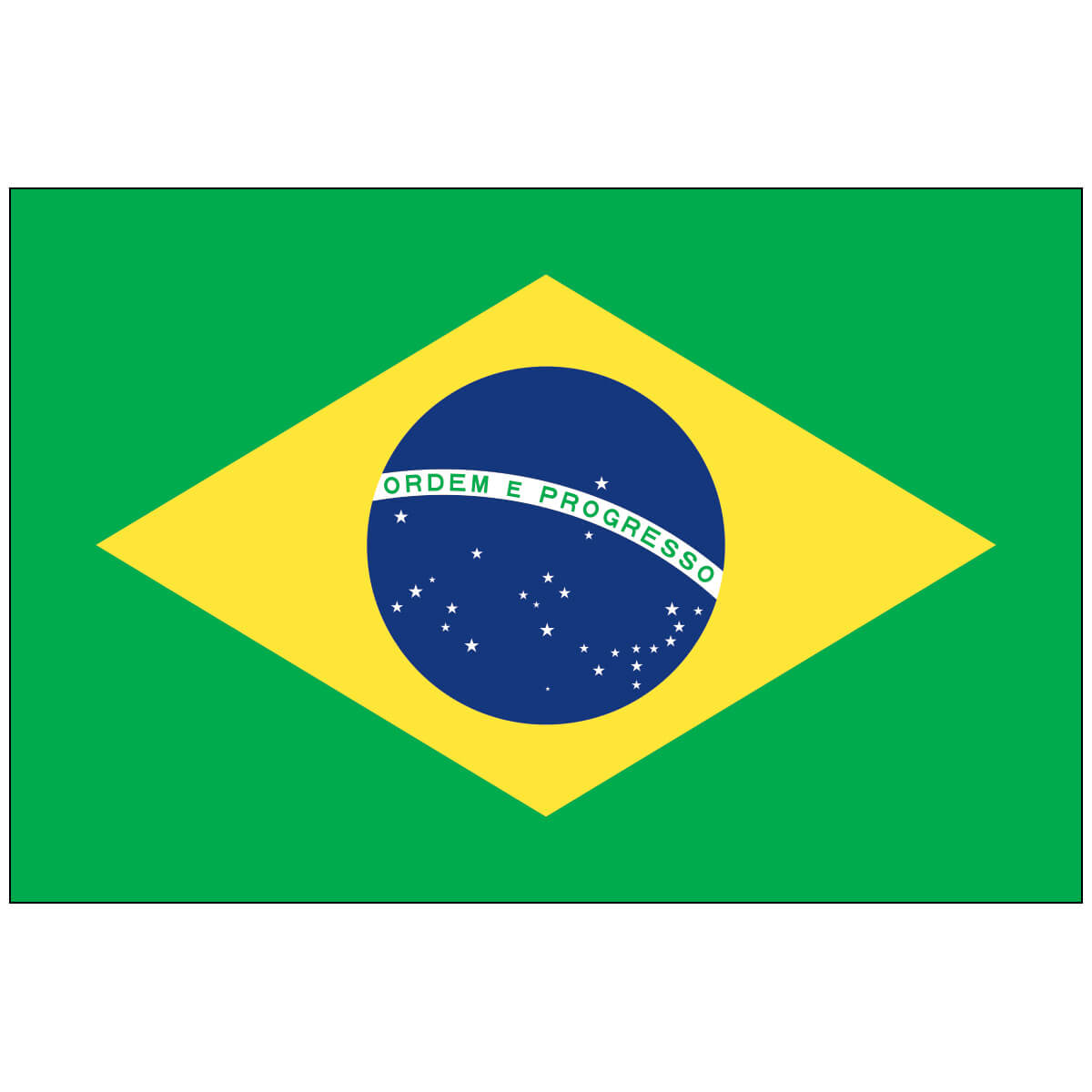 Nylon Brazil Flag