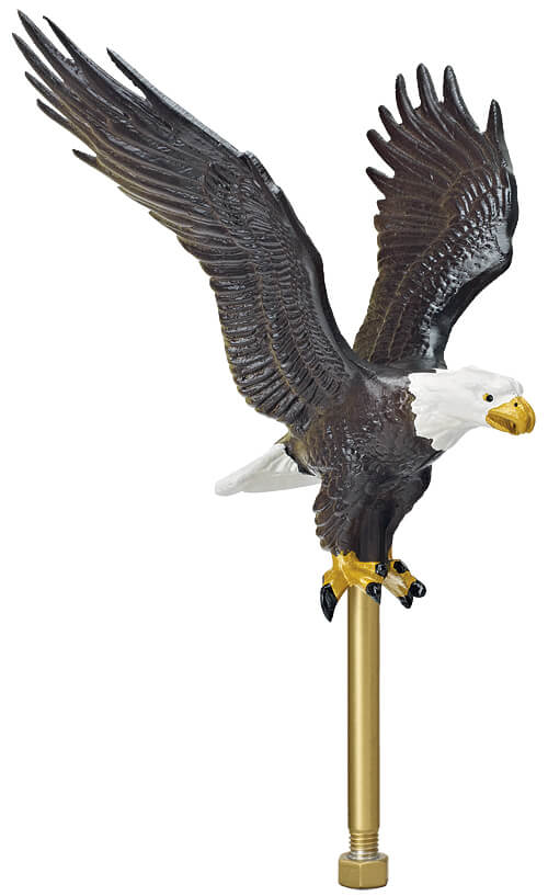 27" Flying Eagle, Natural